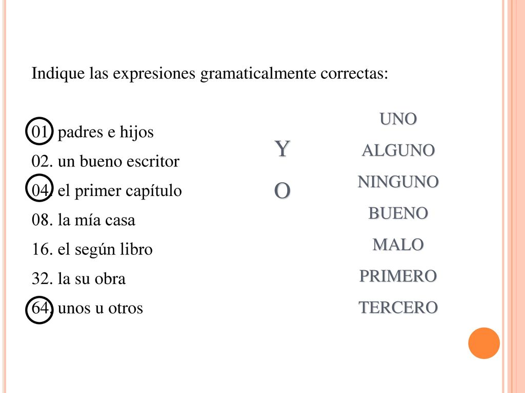 Y O Indique las expresiones gramaticalmente correctas: