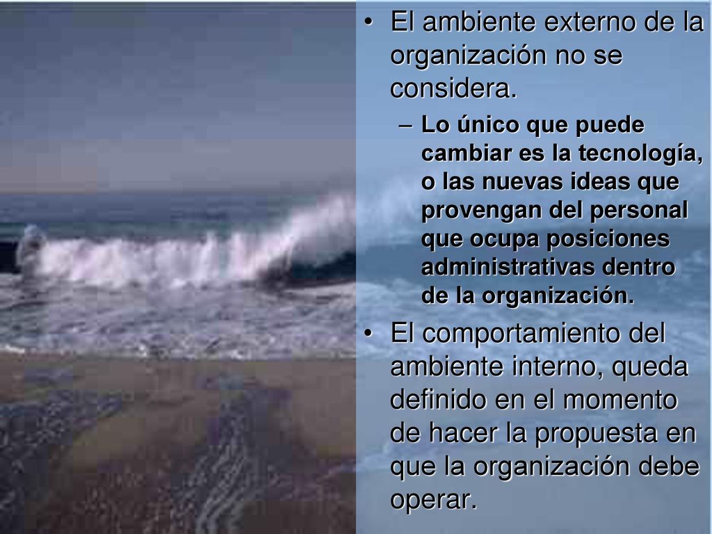 El ambiente externo de la organización no se considera.