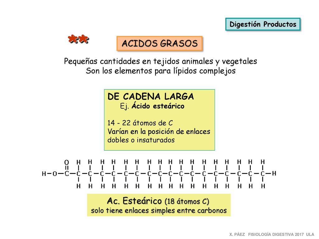** ACIDOS GRASOS DE CADENA LARGA Ac. Esteárico (18 átomos C)