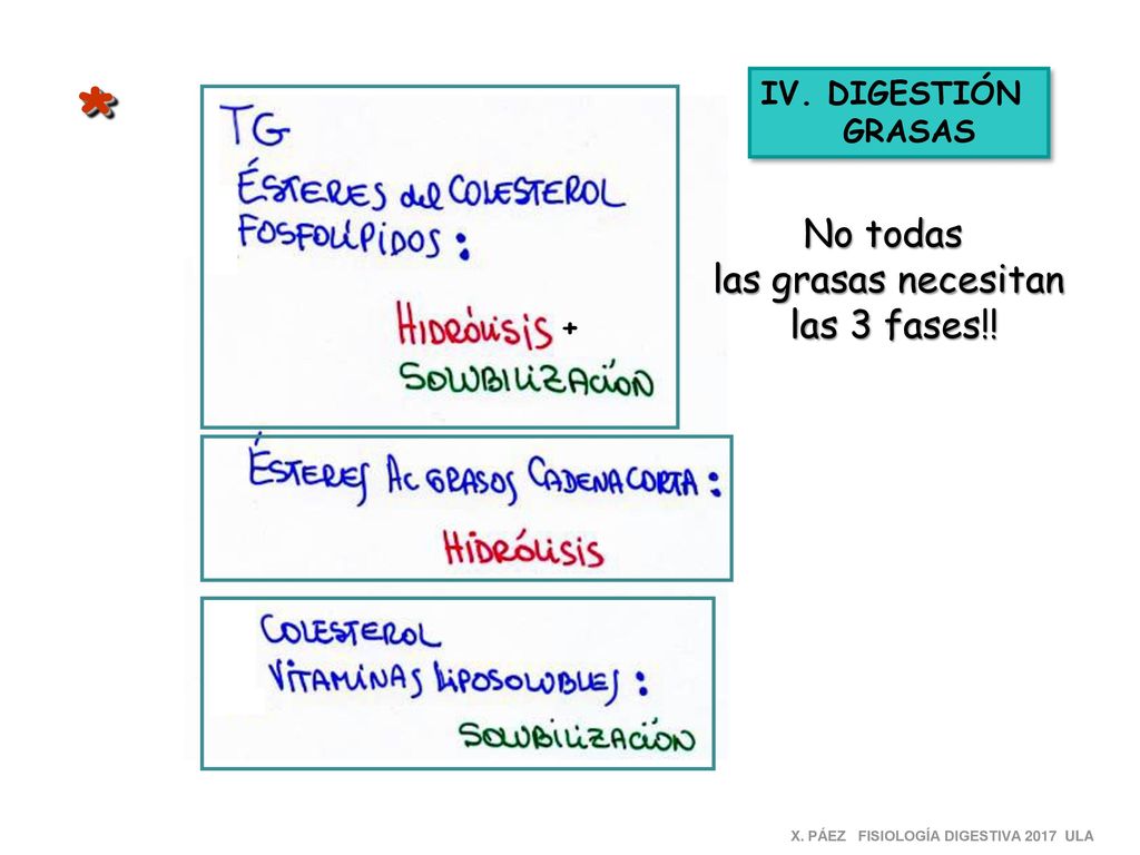 * No todas las grasas necesitan las 3 fases!! IV. DIGESTIÓN GRASAS +