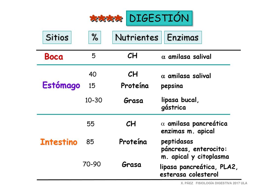**** DIGESTIÓN Sitios % Nutrientes Enzimas Boca Estómago Intestino CH