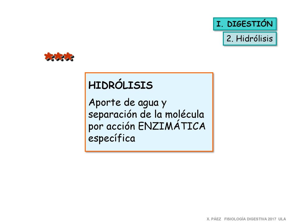 *** HIDRÓLISIS Aporte de agua y separación de la molécula