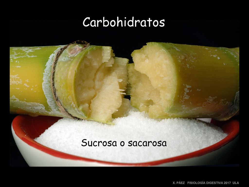 Carbohidratos Sucrosa o sacarosa X. PÁEZ FISIOLOGÍA DIGESTIVA 2017 ULA