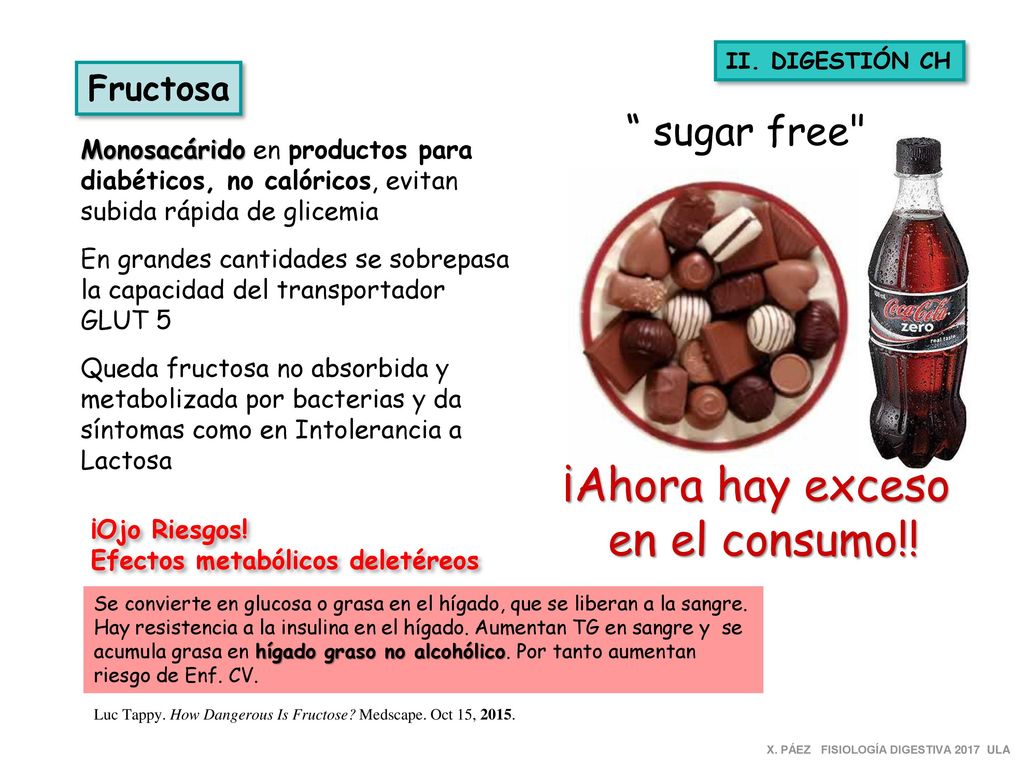 ¡Ahora hay exceso en el consumo!! sugar free Fructosa