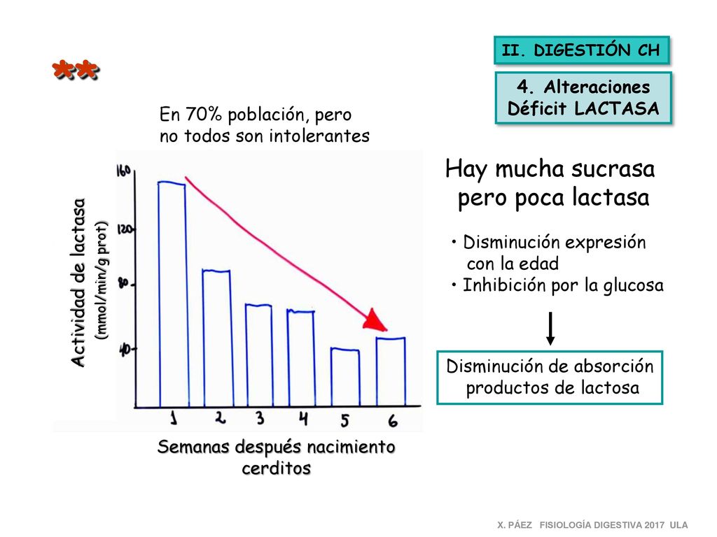 ** Hay mucha sucrasa pero poca lactasa 4. Alteraciones Déficit LACTASA