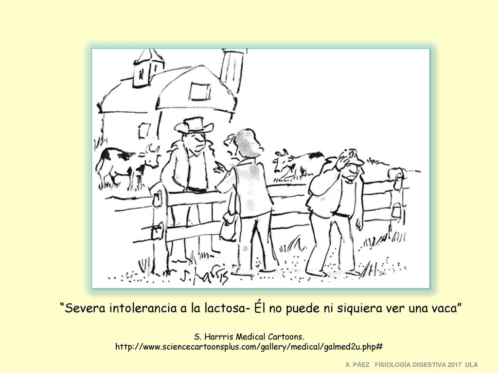 Severa intolerancia a la lactosa- Él no puede ni siquiera ver una vaca