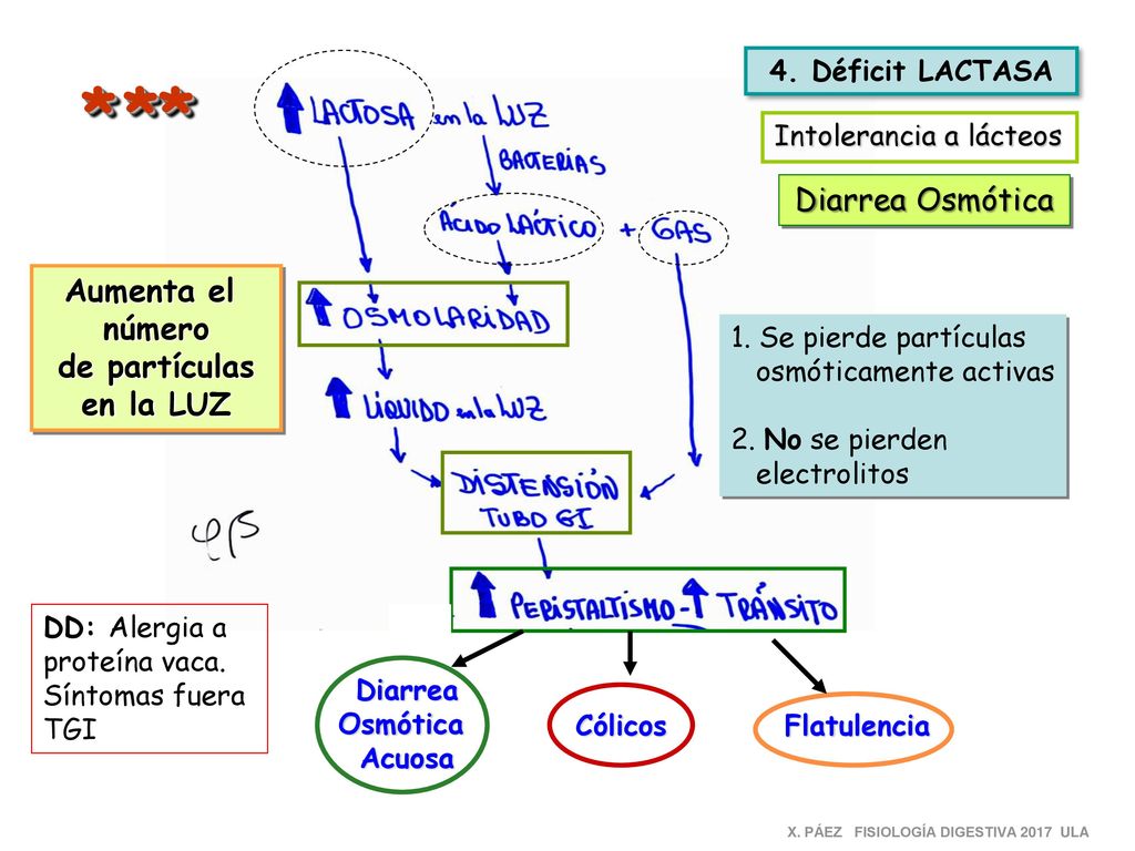 * * * Diarrea Osmótica Aumenta el número de partículas en la LUZ