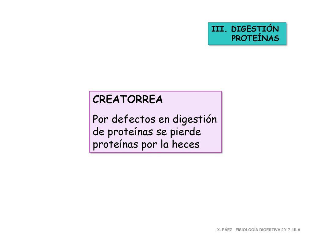 III. DIGESTIÓN PROTEÍNAS. CREATORREA. Por defectos en digestión de proteínas se pierde proteínas por la heces.