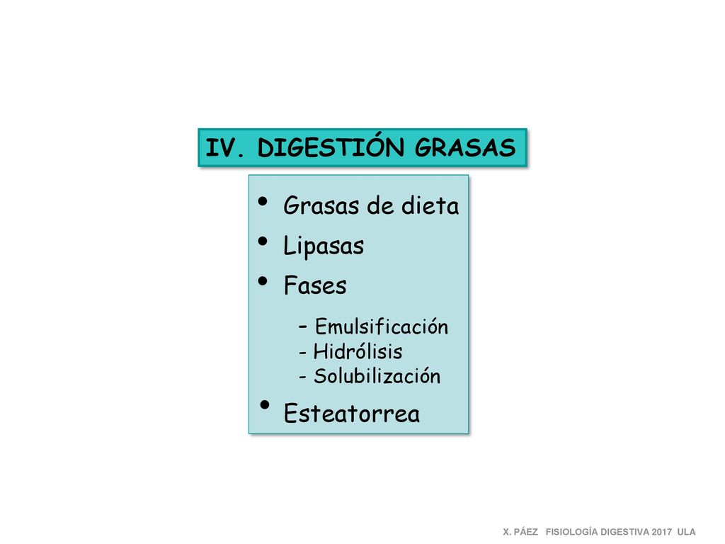 IV. DIGESTIÓN GRASAS Grasas de dieta Lipasas Fases - Emulsificación