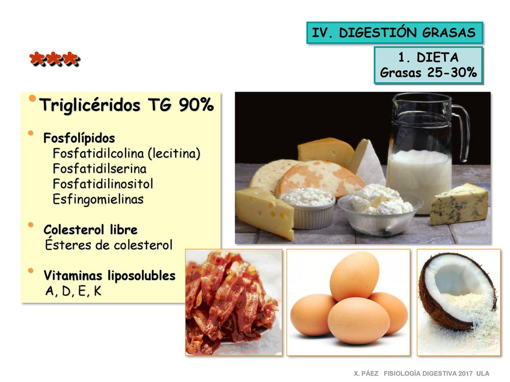 *** Triglicéridos TG 90% IV. DIGESTIÓN GRASAS 1. DIETA Grasas 25-30%