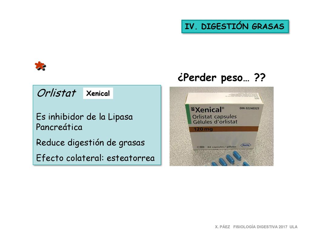 * ¿Perder peso… Orlistat Es inhibidor de la Lipasa Pancreática