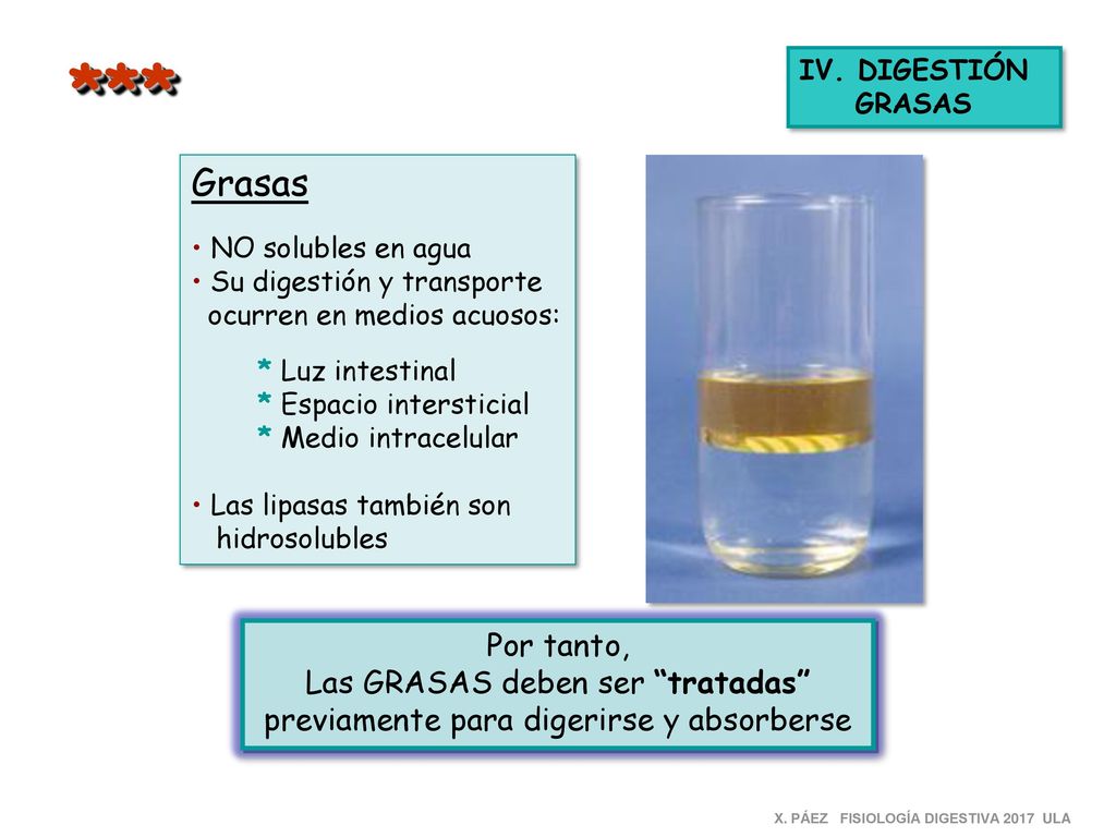 *** Grasas Por tanto, Las GRASAS deben ser tratadas