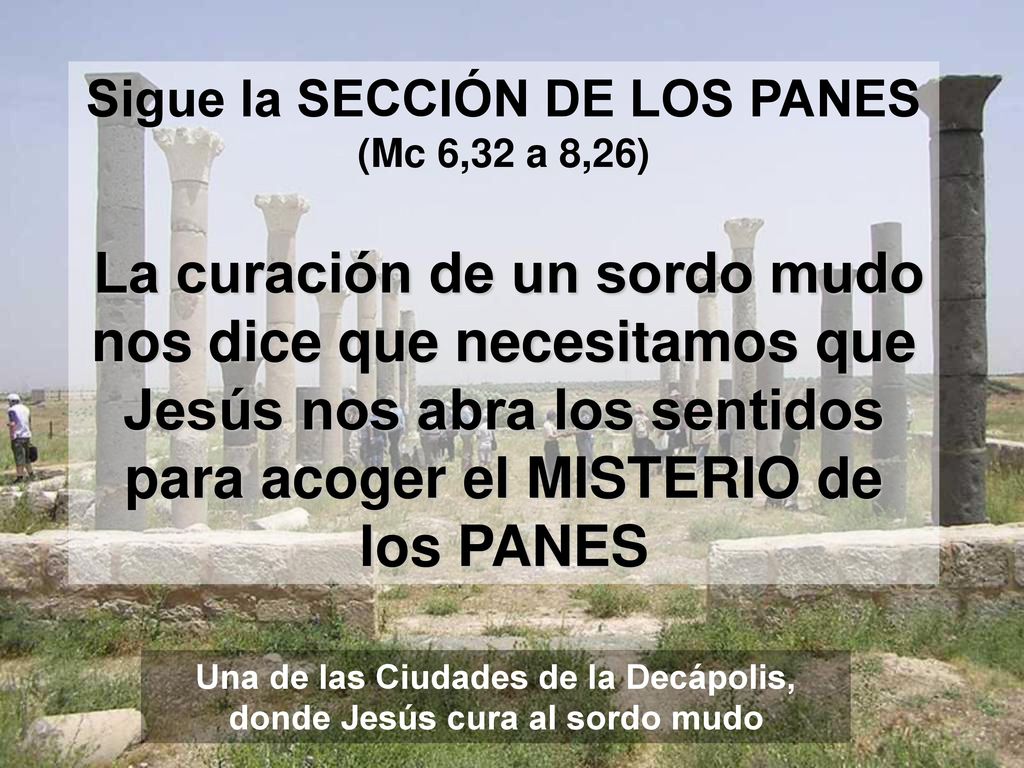 Sigue la SECCIÓN DE LOS PANES (Mc 6,32 a 8,26)