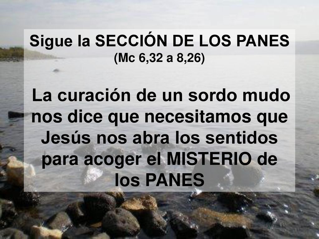 Sigue la SECCIÓN DE LOS PANES (Mc 6,32 a 8,26)
