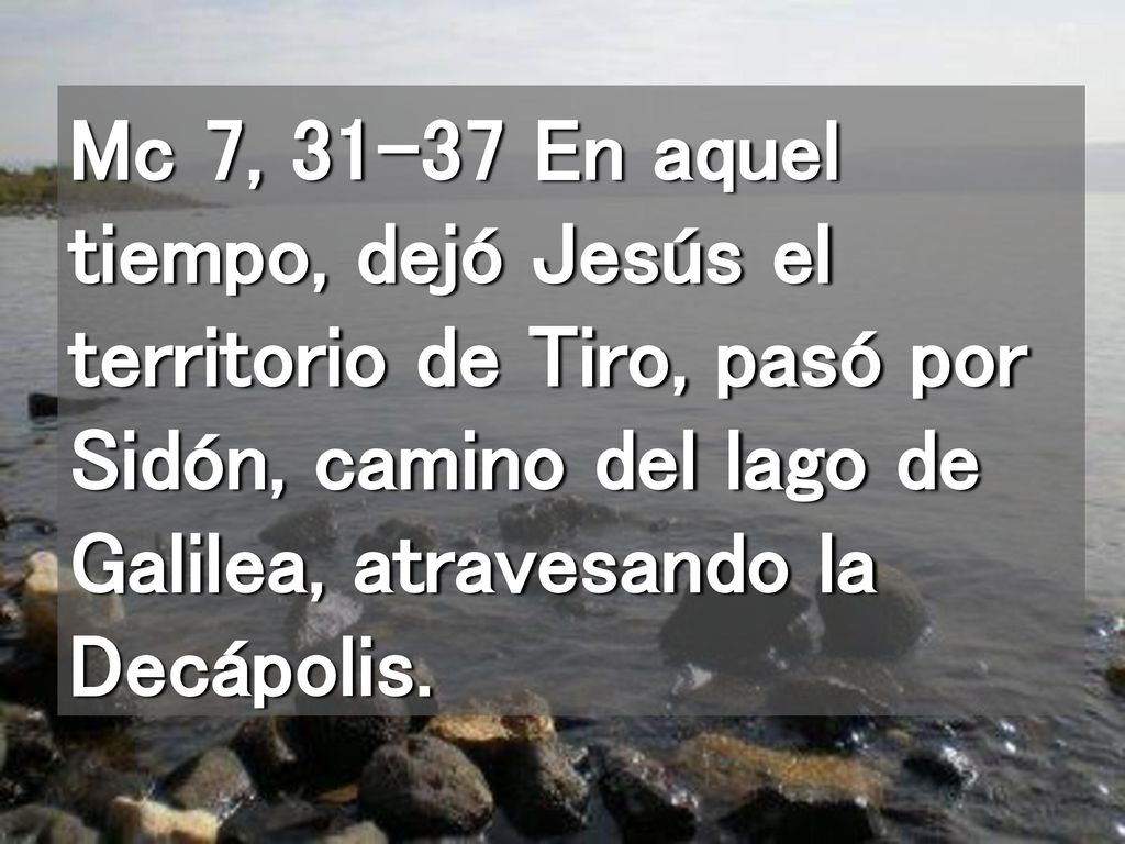 Mc 7, En aquel tiempo, dejó Jesús el territorio de Tiro, pasó por Sidón, camino del lago de Galilea, atravesando la Decápolis.