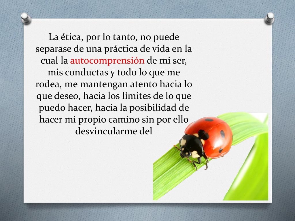 La ética, por lo tanto, no puede separase de una práctica de vida en la cual la autocomprensión de mi ser, mis conductas y todo lo que me rodea, me mantengan atento hacia lo que deseo, hacia los límites de lo que puedo hacer, hacia la posibilidad de hacer mi propio camino sin por ello desvincularme del
