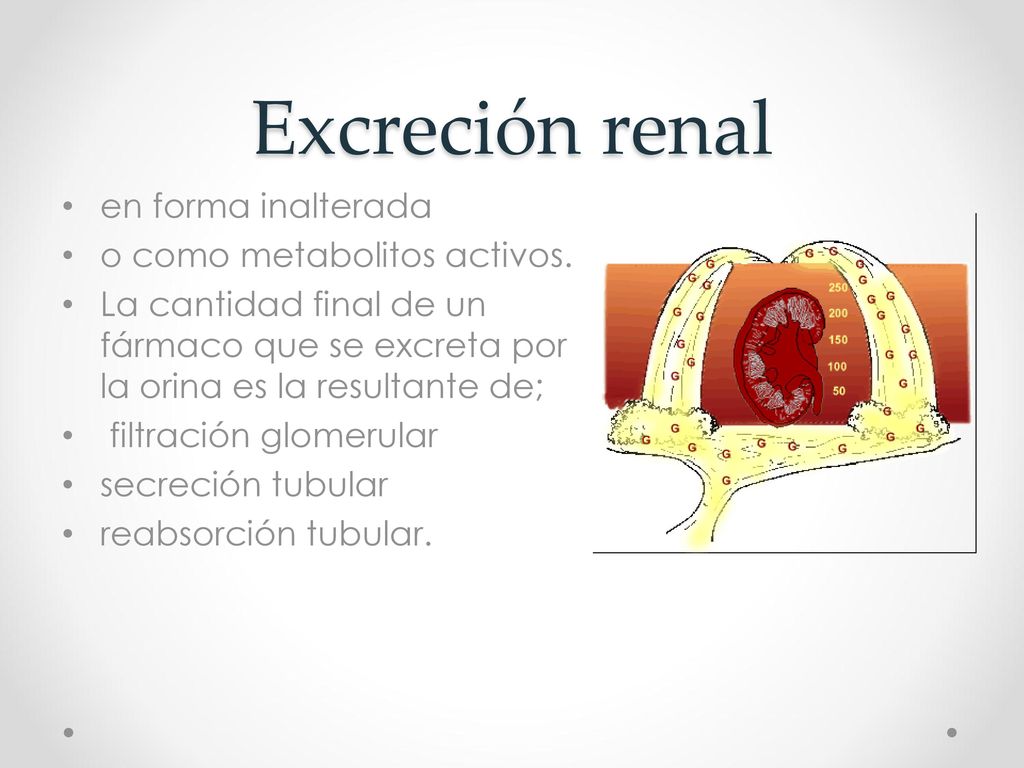Excreción renal en forma inalterada o como metabolitos activos.