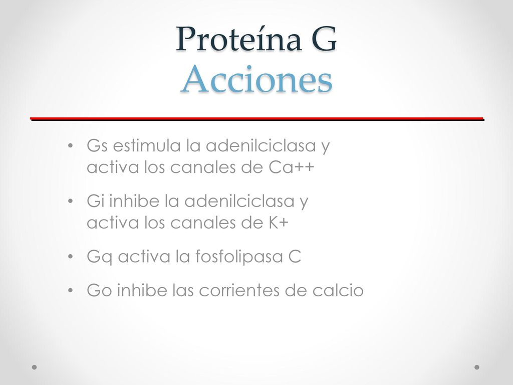 Proteína G Acciones Gs estimula la adenilciclasa y activa los canales de Ca++ Gi inhibe la adenilciclasa y activa los canales de K+