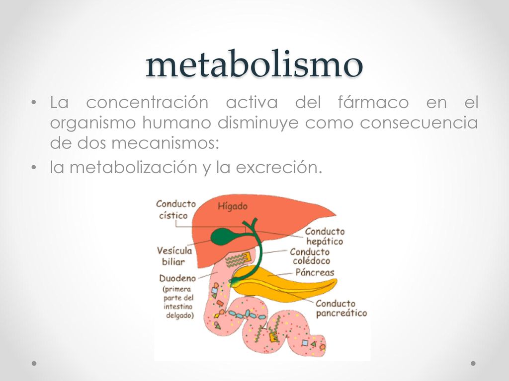 metabolismo La concentración activa del fármaco en el organismo humano disminuye como consecuencia de dos mecanismos: