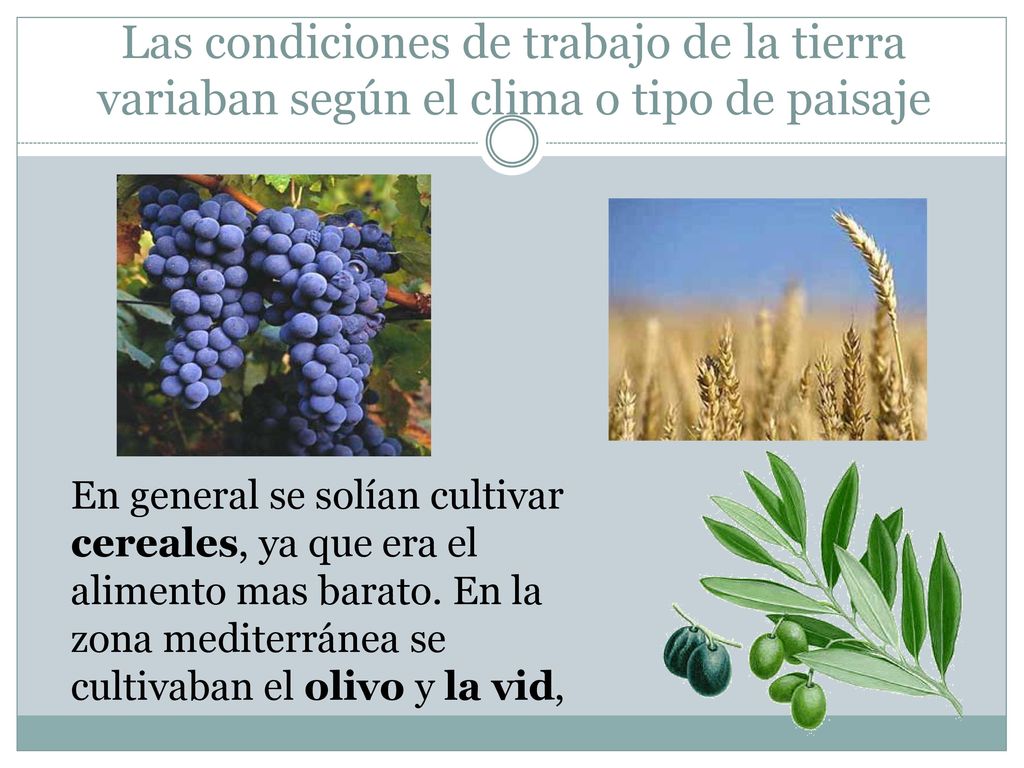 Las condiciones de trabajo de la tierra variaban según el clima o tipo de paisaje