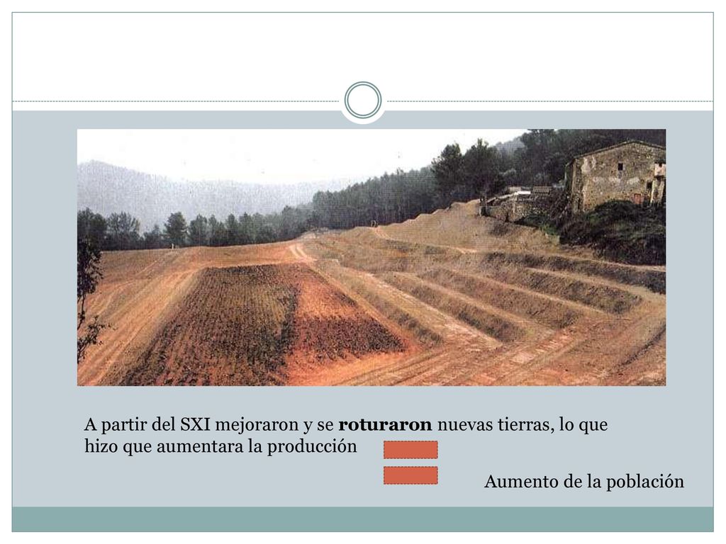 A partir del SXI mejoraron y se roturaron nuevas tierras, lo que hizo que aumentara la producción