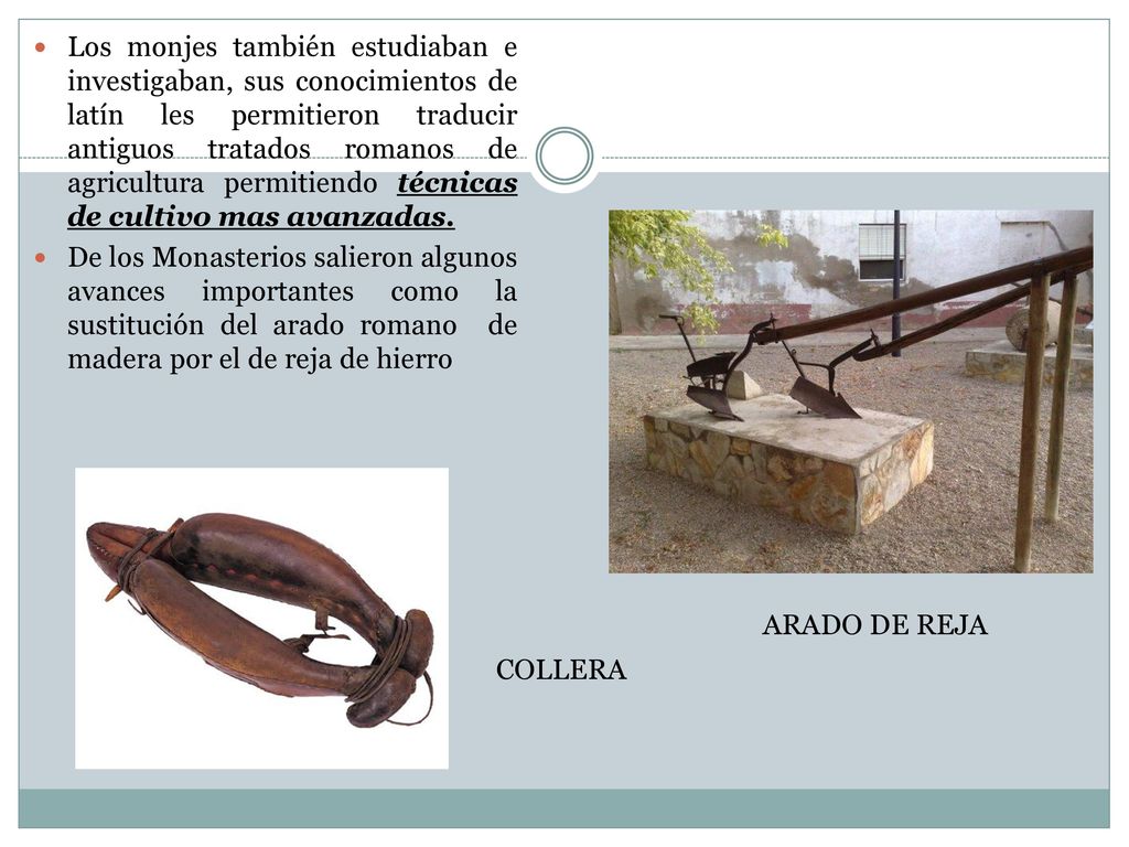 Los monjes también estudiaban e investigaban, sus conocimientos de latín les permitieron traducir antiguos tratados romanos de agricultura permitiendo técnicas de cultivo mas avanzadas.