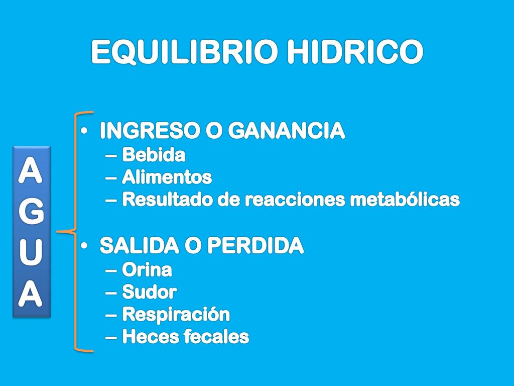 A G U EQUILIBRIO HIDRICO INGRESO O GANANCIA SALIDA O PERDIDA Bebida