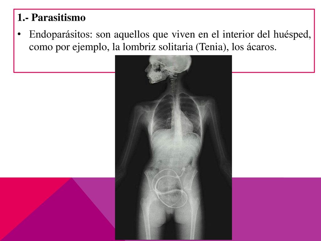 1.- Parasitismo Endoparásitos: son aquellos que viven en el interior del huésped, como por ejemplo, la lombriz solitaria (Tenia), los ácaros.