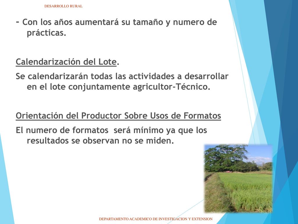 - Con los años aumentará su tamaño y numero de prácticas.