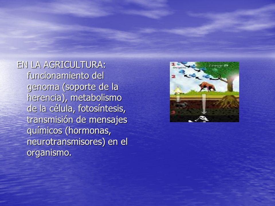 EN LA AGRICULTURA: funcionamiento del genoma (soporte de la herencia), metabolismo de la célula, fotosíntesis, transmisión de mensajes químicos (hormonas, neurotransmisores) en el organismo.