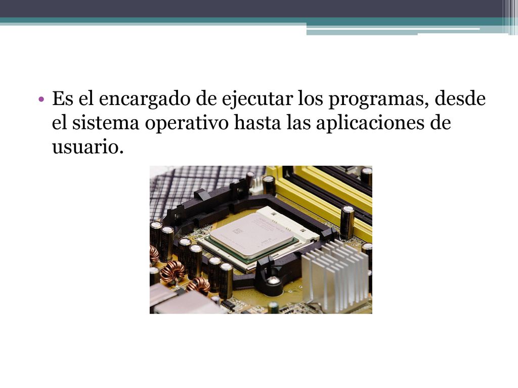 Es el encargado de ejecutar los programas, desde el sistema operativo hasta las aplicaciones de usuario.