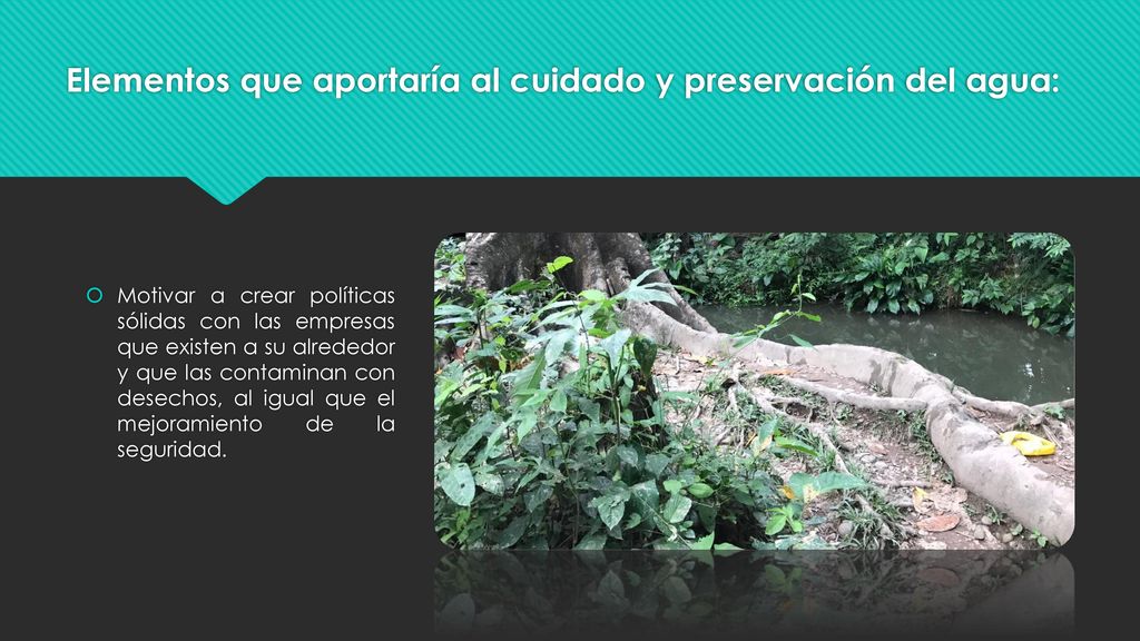 Elementos que aportaría al cuidado y preservación del agua: