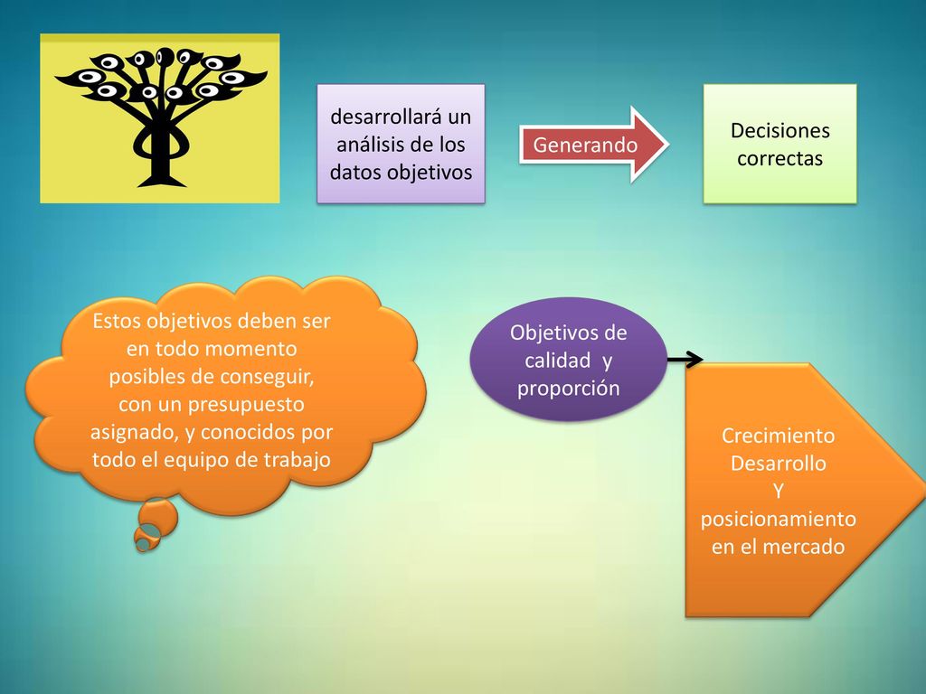 desarrollará un análisis de los datos objetivos Decisiones correctas