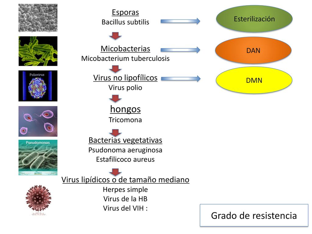 Esporas Bacillus subtilis Micobacterias Micobacterium tuberculosis Virus no lipofílicos Virus polio hongos Tricomona Bacterias vegetativas Psudonoma aeruginosa Estafilicoco aureus Virus lipídicos o de tamaño mediano Herpes simple Virus de la HB Virus del VIH :