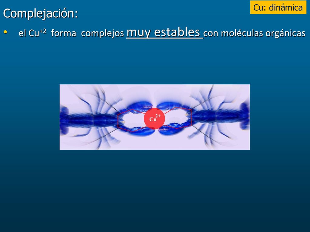 Cu: dinámica Complejación: el Cu+2 forma complejos muy estables con moléculas orgánicas