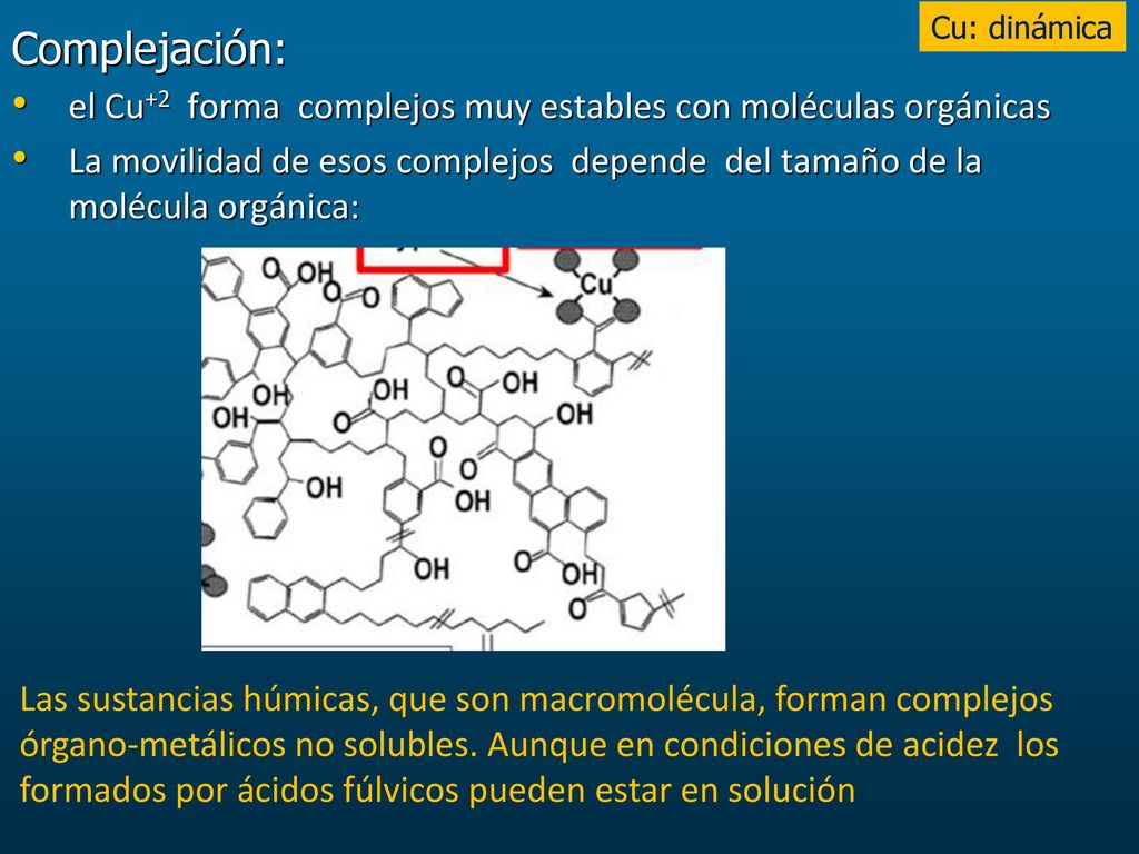 Cu: dinámica Complejación: el Cu+2 forma complejos muy estables con moléculas orgánicas.