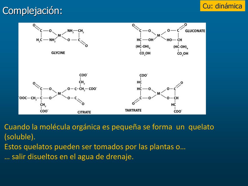 Cu: dinámica Complejación: Cuando la molécula orgánica es pequeña se forma un quelato (soluble).