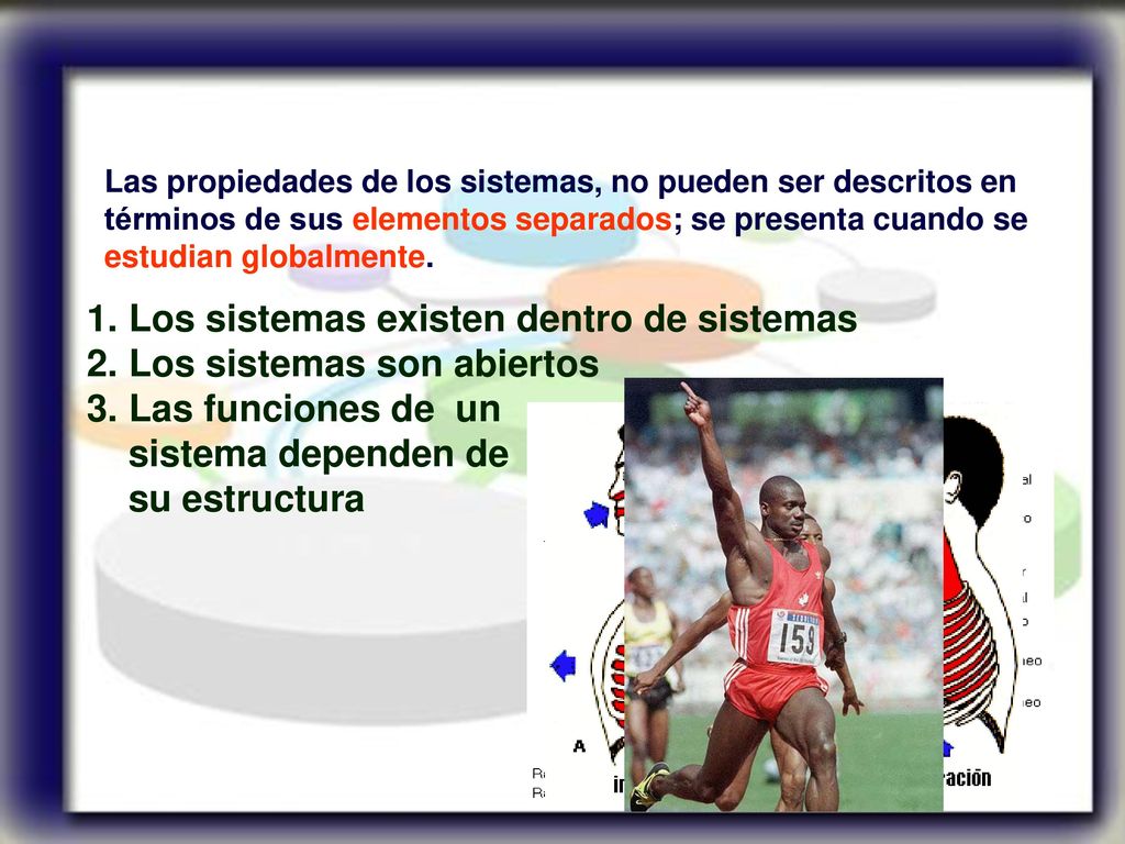Los sistemas existen dentro de sistemas Los sistemas son abiertos