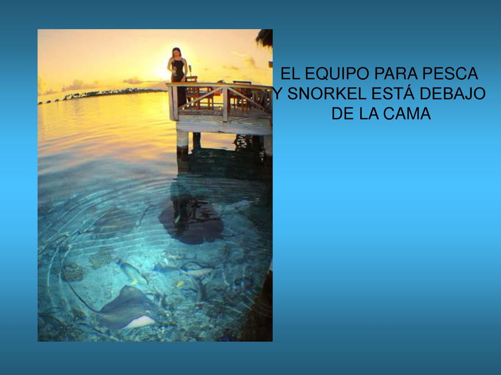 EL EQUIPO PARA PESCA Y SNORKEL ESTÁ DEBAJO DE LA CAMA