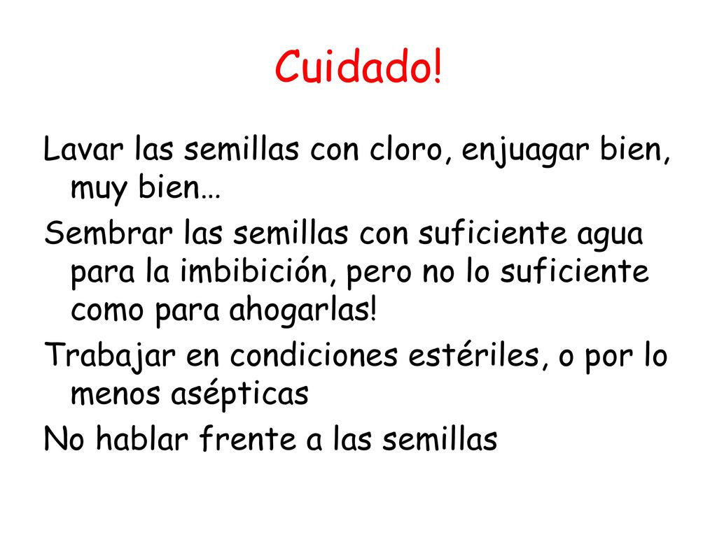 Cuidado! Lavar las semillas con cloro, enjuagar bien, muy bien…