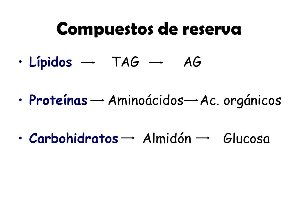 Compuestos de reserva Lípidos TAG AG