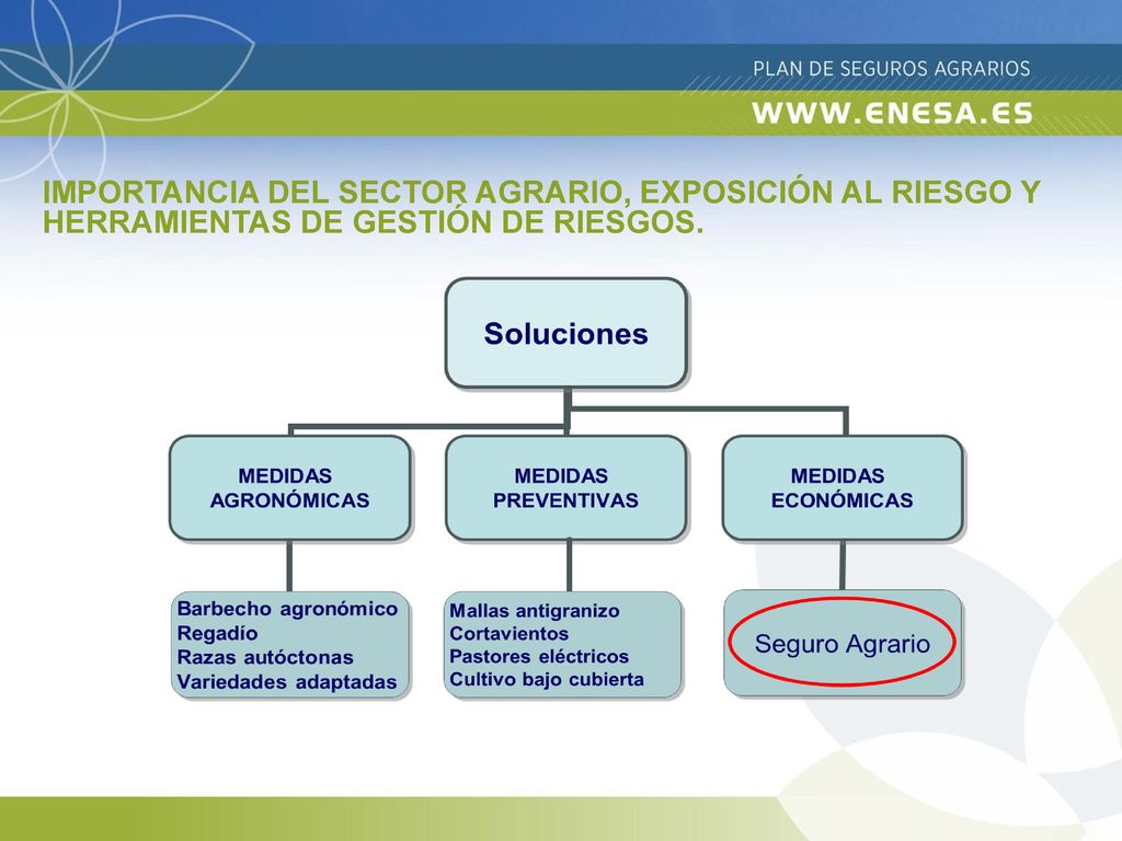 IMPORTANCIA DEL SECTOR AGRARIO, EXPOSICIÓN AL RIESGO Y HERRAMIENTAS DE GESTIÓN DE RIESGOS.
