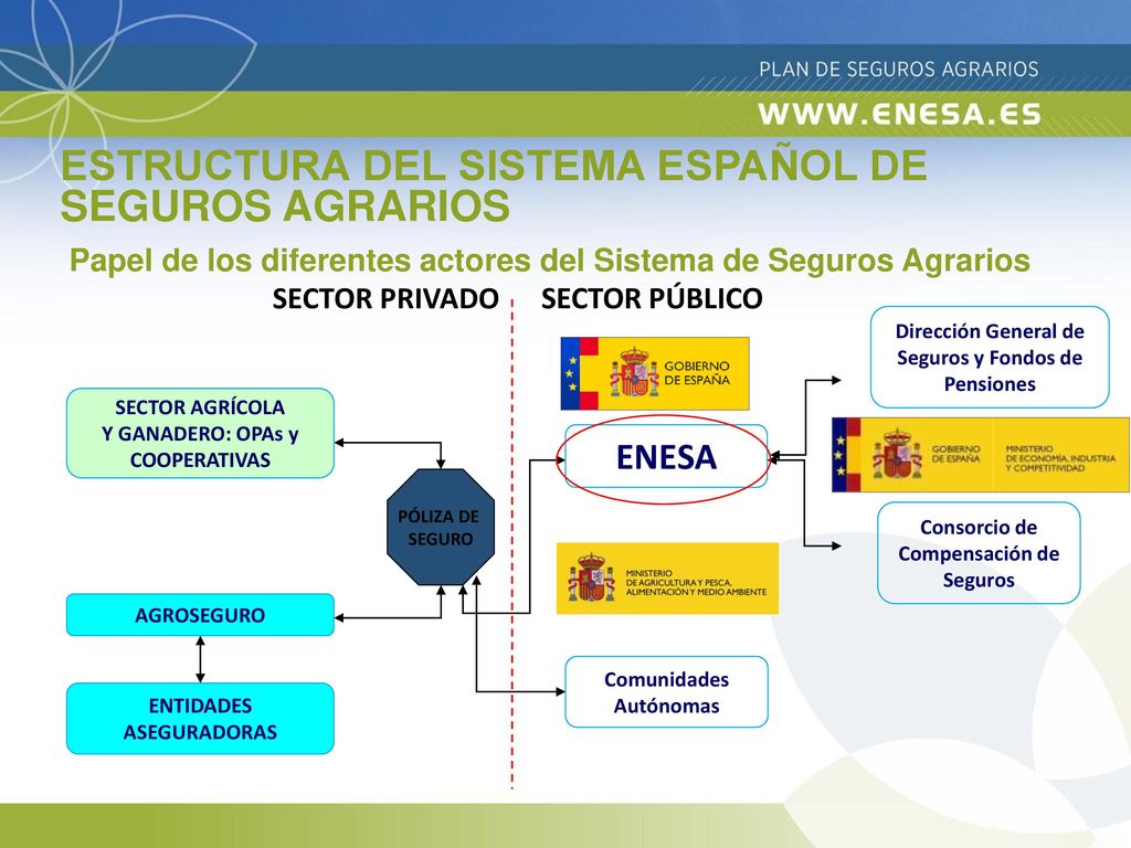 Papel de los diferentes actores del Sistema de Seguros Agrarios