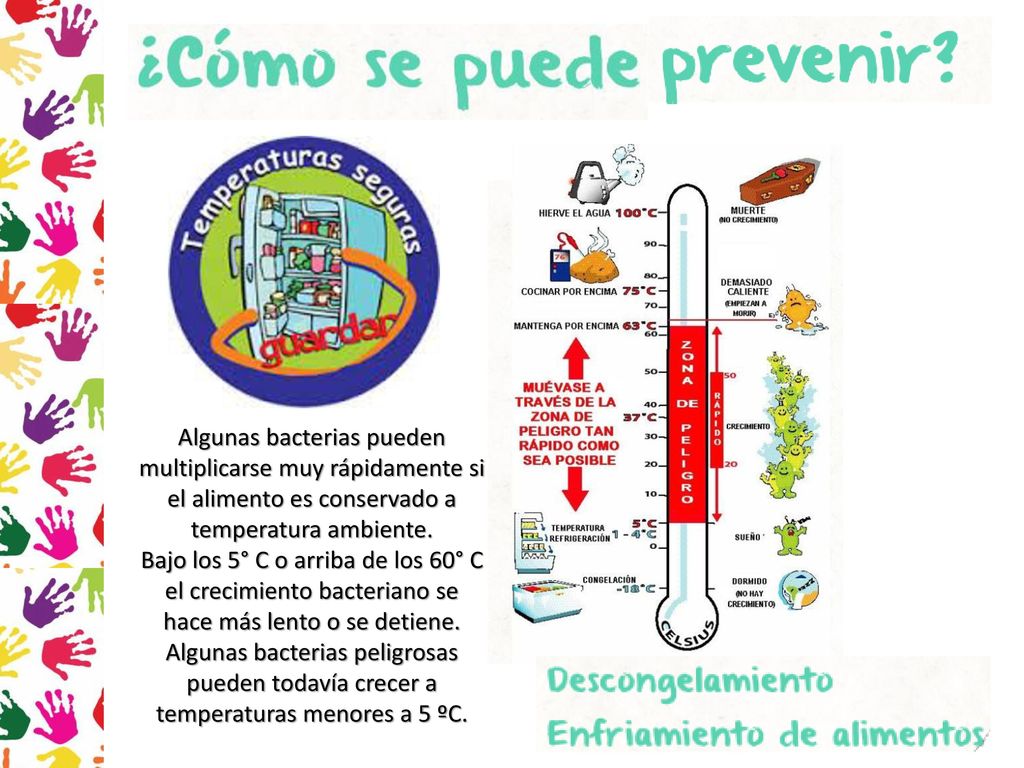 Algunas bacterias pueden multiplicarse muy rápidamente si el alimento es conservado a temperatura ambiente.