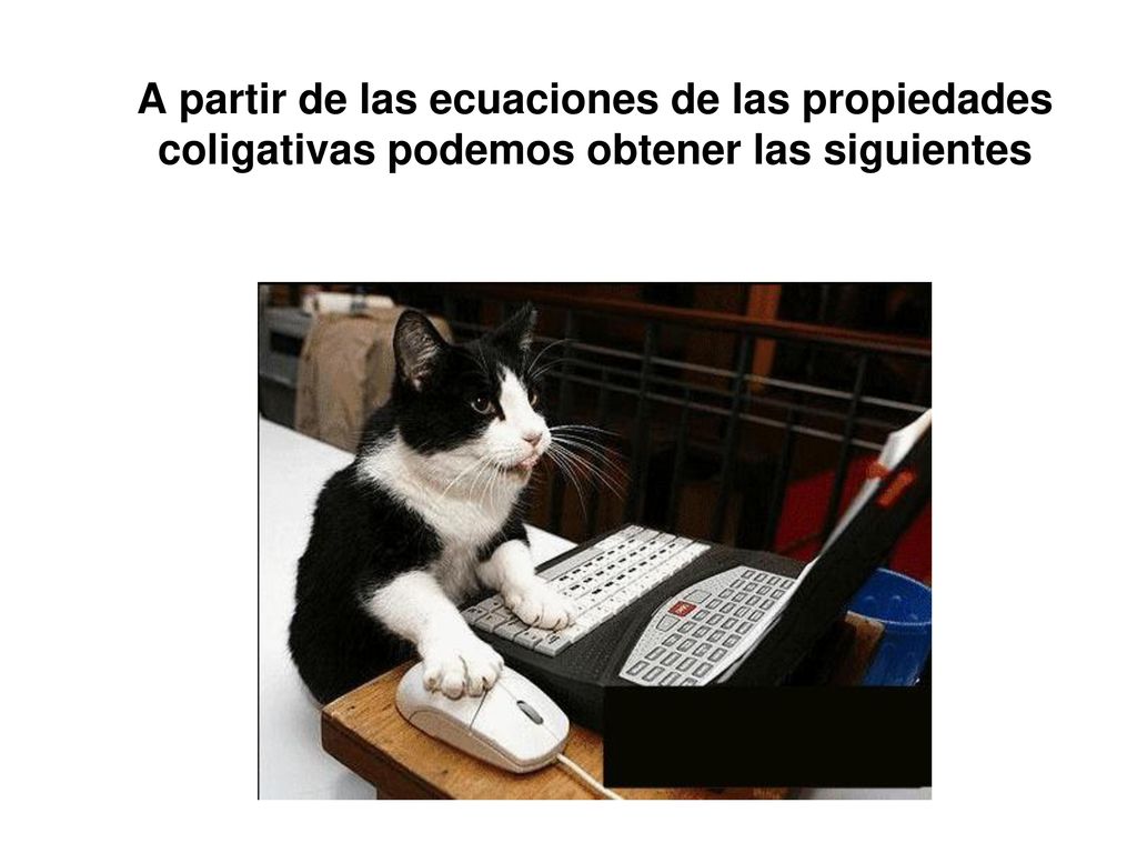 A partir de las ecuaciones de las propiedades coligativas podemos obtener las siguientes