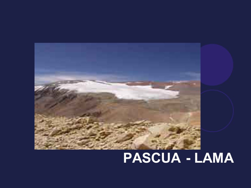 PASCUA - LAMA