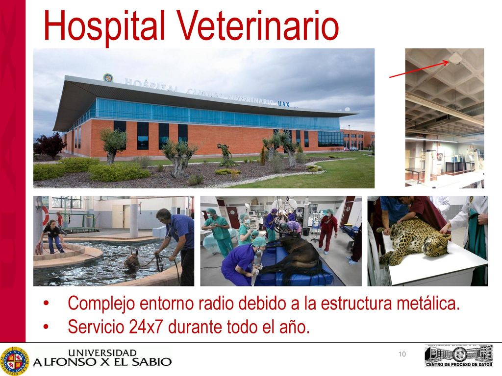 Hospital Veterinario Buenos días, muchas gracias por su atención.