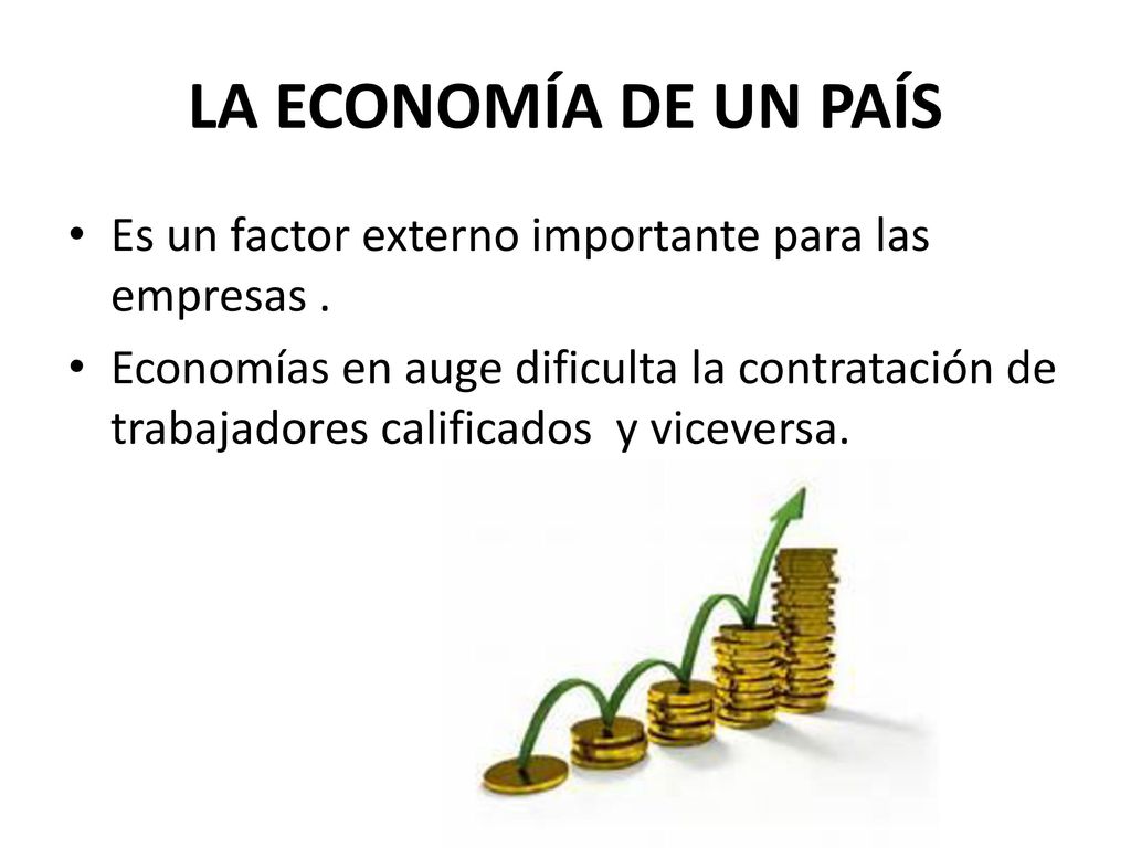 LA ECONOMÍA DE UN PAÍS Es un factor externo importante para las empresas .