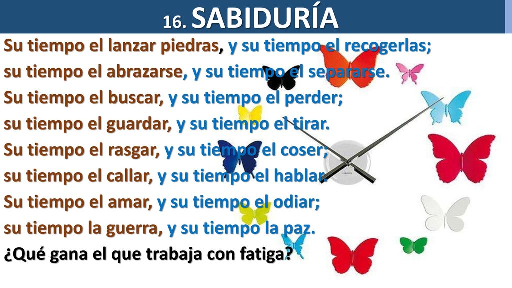 16. SABIDURÍA Su tiempo el lanzar piedras, y su tiempo el recogerlas; su tiempo el abrazarse, y su tiempo el separarse.