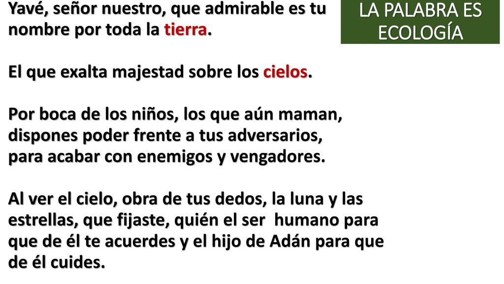 LA PALABRA ES ECOLOGÍA Yavé, señor nuestro, que admirable es tu